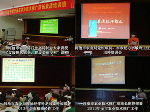 提升素質促執行 立足本職做貢獻——河池市農業局成功舉辦2013年基層農技推廣隊伍素質提升培訓班