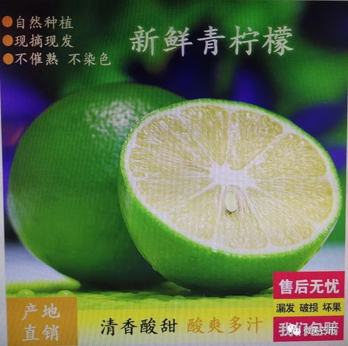 芒市注入兩千余萬資金，以電商賦能鄉(xiāng)村振興